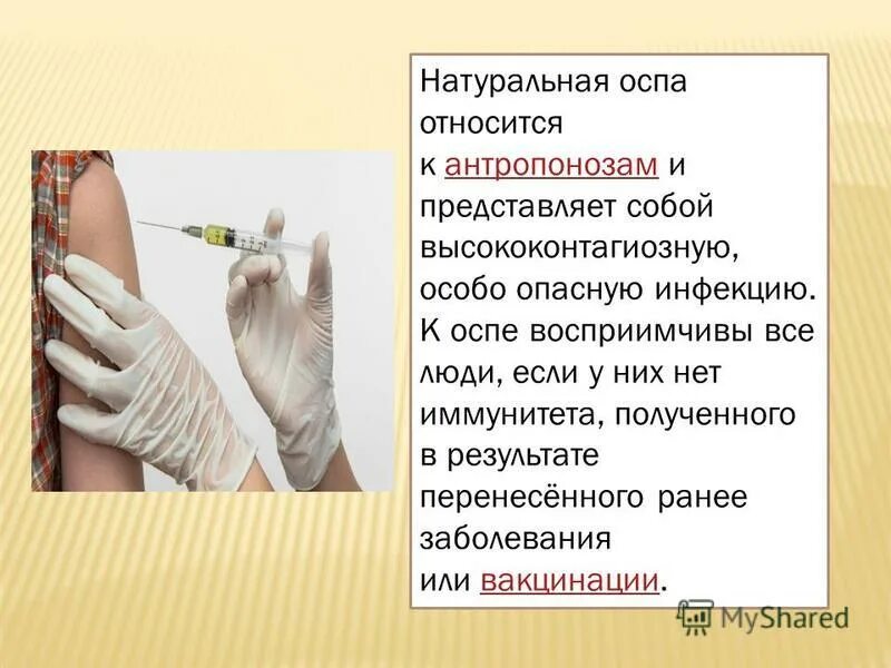 к какой группе относится оспа. особо опасные инфекции натуральная оспа холера. вирус натуральной оспы строение. натуральная оспа мероприятия в очаге. вирус натуральной оспы морфология.