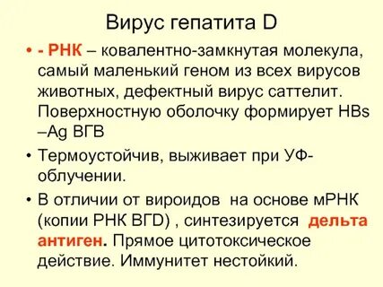 Гепатит во внешней среде