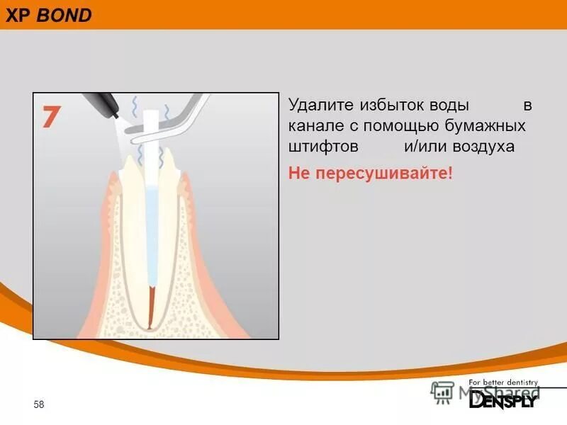Лишняя жидкость в организме. Симптомы низкого железа в организме. Лишний вес. Опасность весцелярного жира. К чему приводит избыток адреналина.