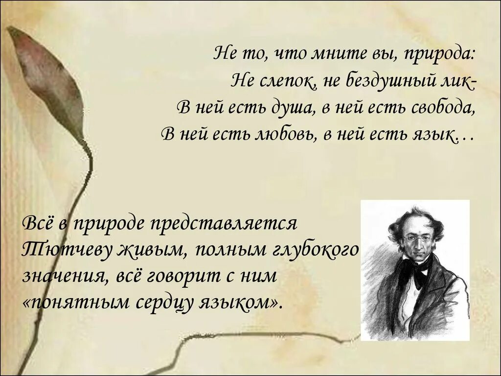 Стихотворение не то что мните тютчев. Высказывания о природе. Цитаты про природу. Афоризмы о природе России. Цитаты писателей о природе.