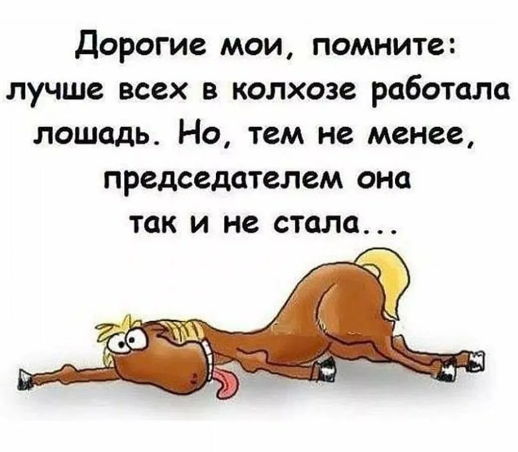 Смешные высказывания. Цитаты про работу смешные. Прикольные высказывания про работу. Прикольные высказывания про работу. Поговорки про работу смешные.