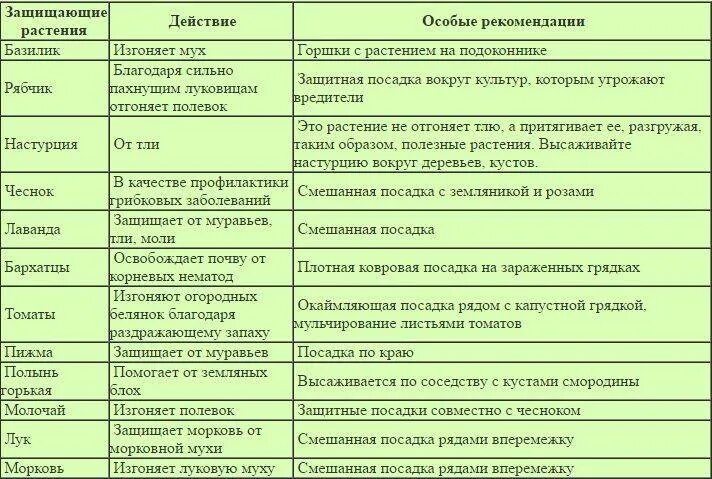 В какое время суток обрабатывать деревья
