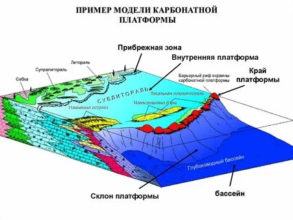 Зона состоит из