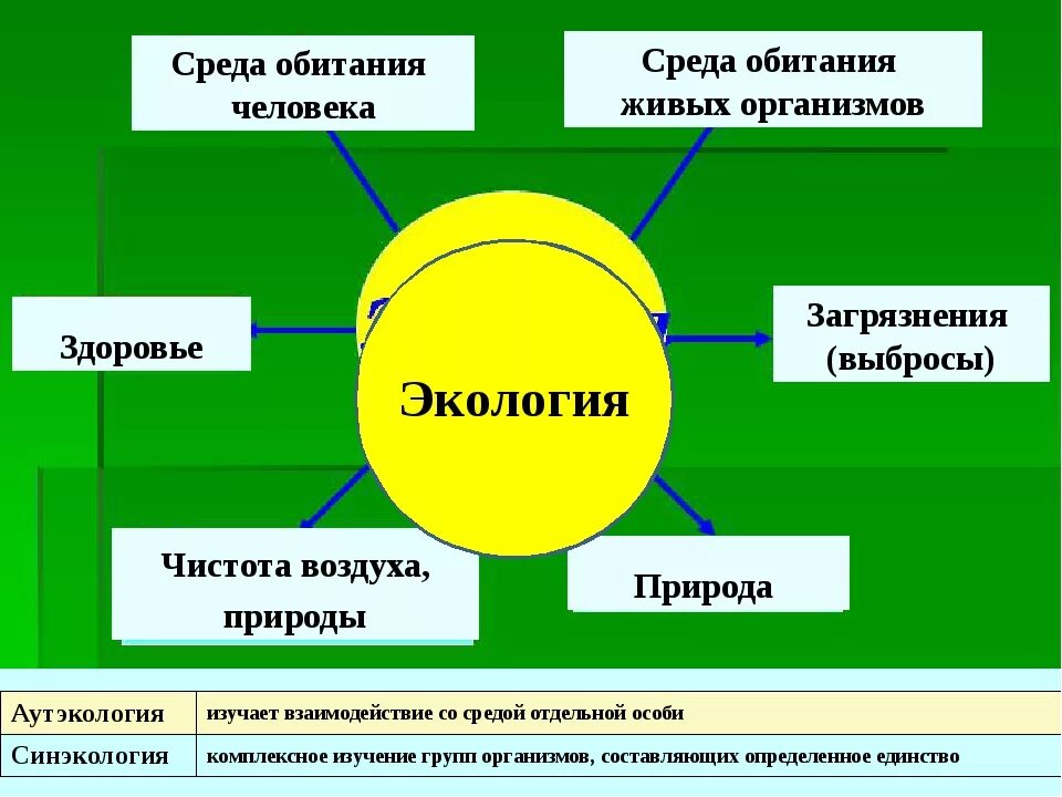 Средства обитания человека. Среда обитания человека. Элементы среды обитания человека. Среда обитания человека презентация. Основы экологии.