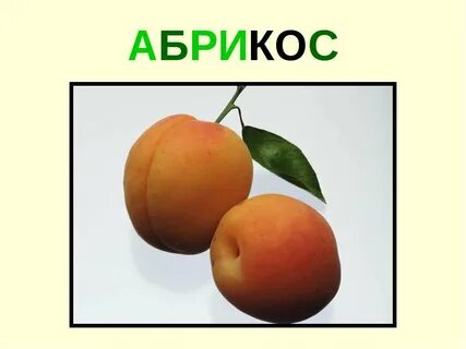 Абрикоса текст