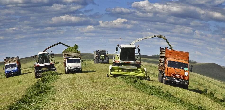 Погода александровка на 10 дней самарской области. Уборка сенажа 2021. КАМАЗ 6520 под сенаж. Сенаж 2022. Заготовка сенажа Тетюшский район.