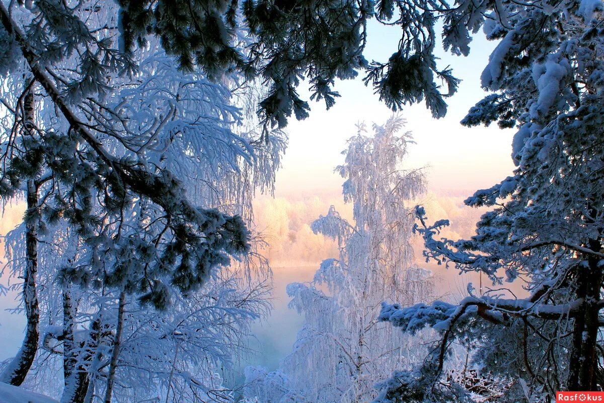 Красота 32. Ноябрьск природа зима. Фото зимняя природа Ноябрьска. У самого леса на белом просторе. Фото Ноябрьск природа зима.