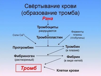 Свертывание происходит благодаря