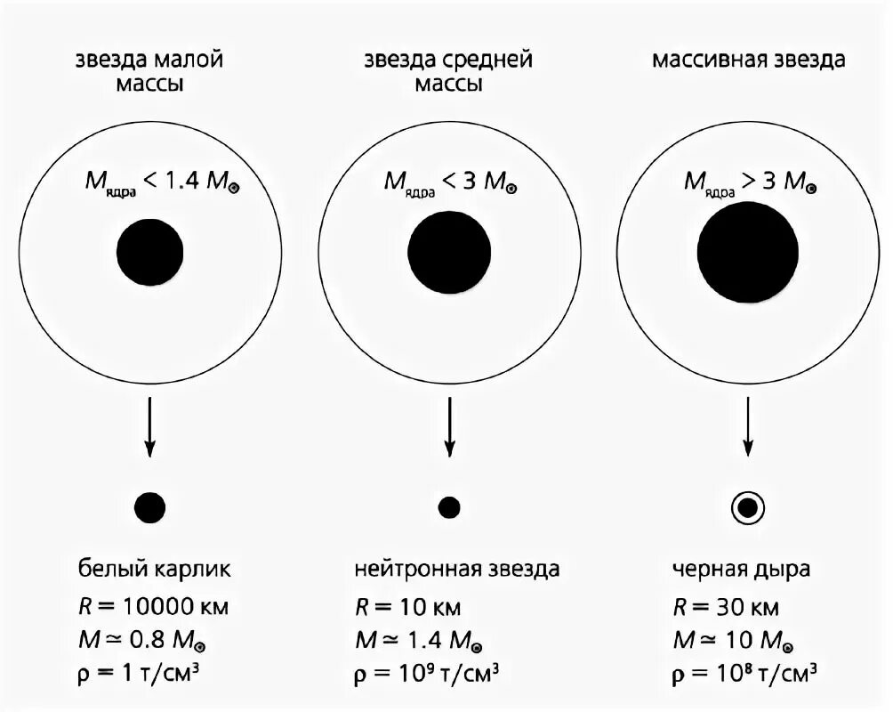 Что не входит в состав белого карлика. Таблица белые карлики нейтронные звезды черные дыры. Сравнительная таблица белые карлики нейтронные звезды черные дыры. Белые карлики механизм образования. Таблица белый карлик нейтронная звезда.