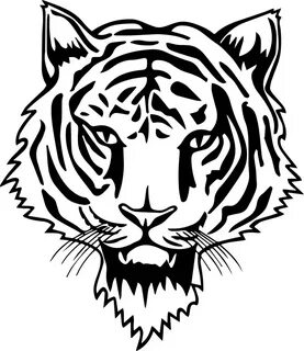 lsu tigers coloring pages