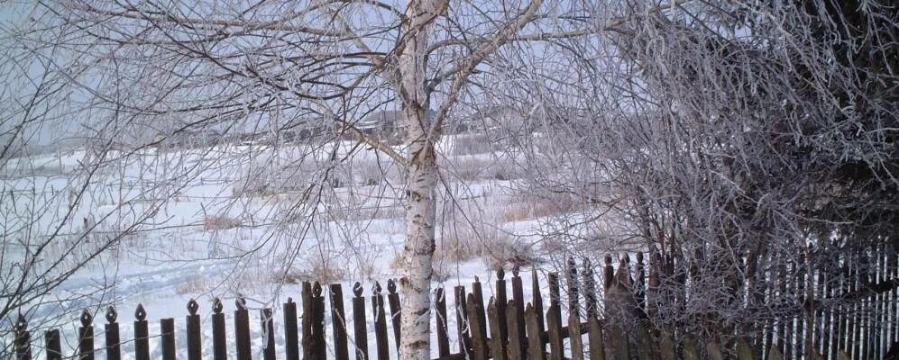 Паводок село тимофеевка, нижнее санчелеево 2023 год. Сараевский крик. Сараевский дом культуры. Памятник в селе кривское. Погода кривское сараевского.