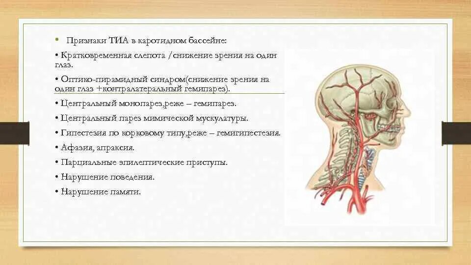 Транзиторная ишемическая атака в каротидном бассейне. Сосуды каротидного бассейна. Вертебро-базилярный бассейн головного мозга. Каротидный и вертебробазилярный бассейн. Ишемия латынь