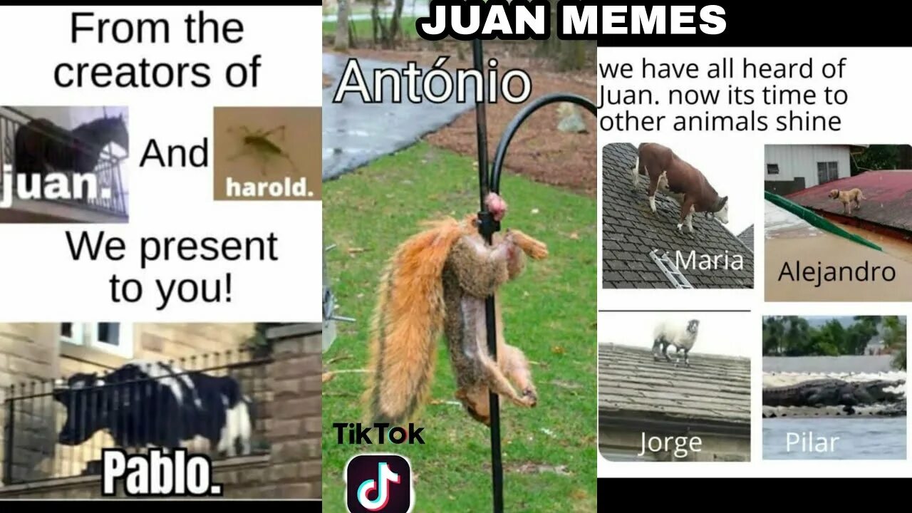 You have heard them all