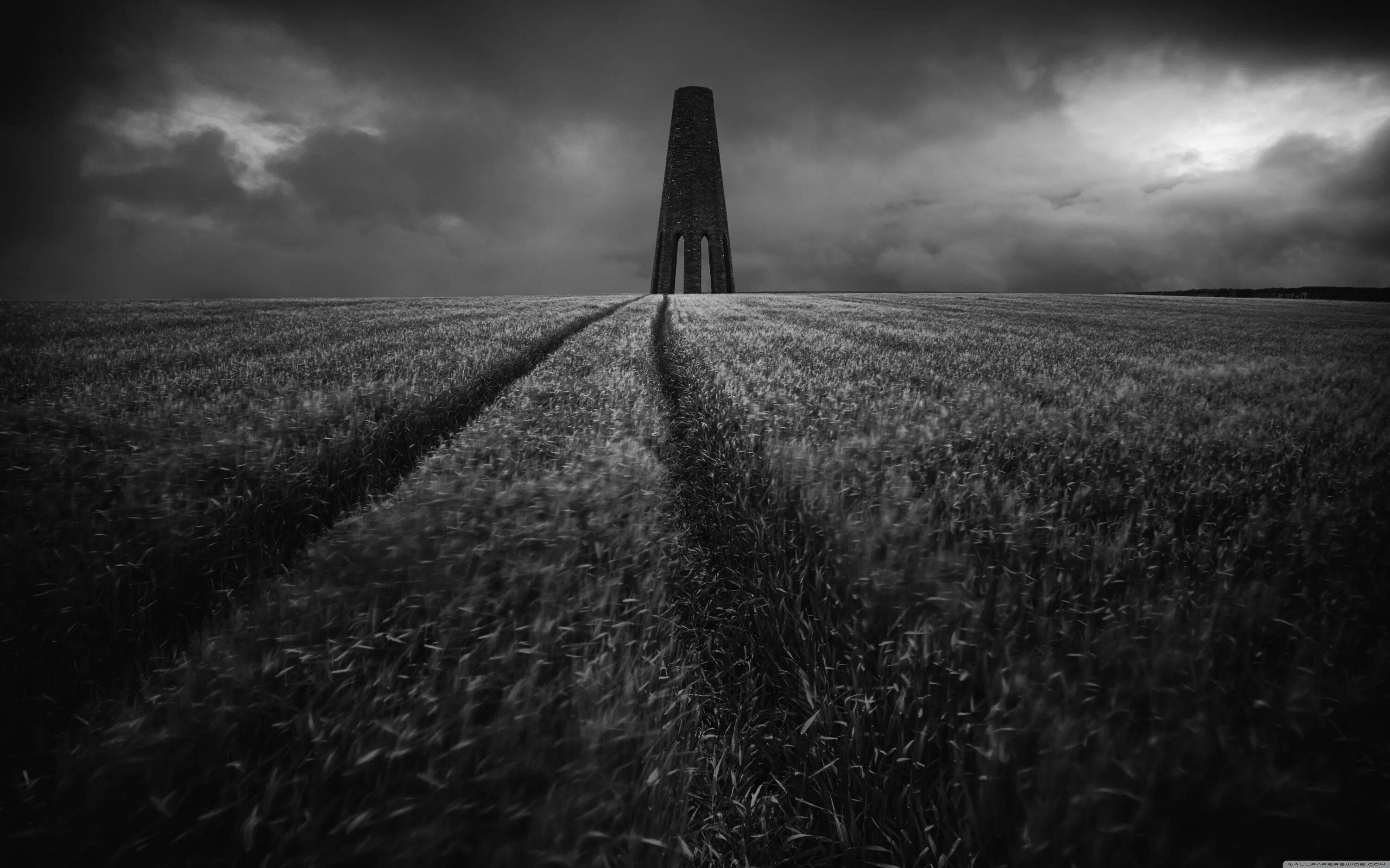 Black fields