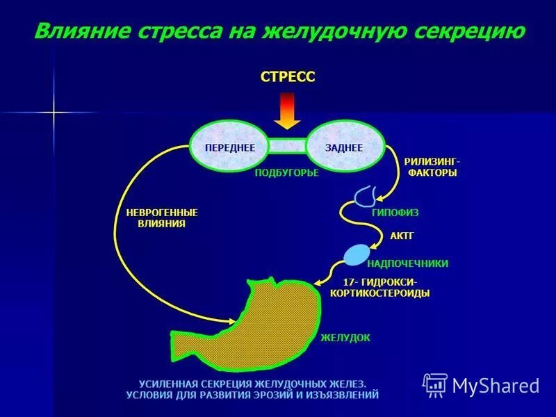 как стресс влияет на жкт