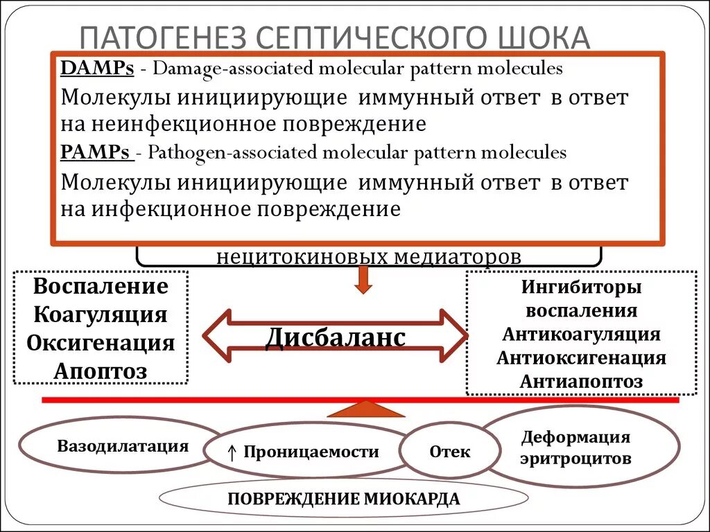 Патогенез септического шока. Патогенез развития септического шока. Патогенез септического шока схема. Механизм развития септического шока. Септический ШОК этиология патогенез.