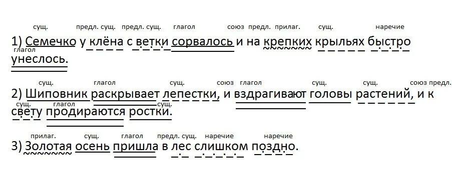 Синтаксический разбор вся окрестность наполнена разнообразными птицами. Образец разбора предложения. Синтаксический разбор предложения карточки. Синтаксический разбор предложения пример. Схема разбора предложения.