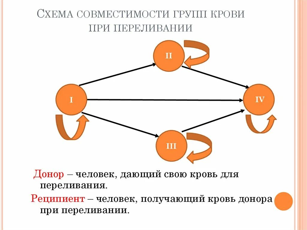 Какие группы крови кому переливают. Группы крови совместимые схема. Переливание крови схема донор реципиент. Донорство крови схема совместимости. Группа крови реципиента схема.