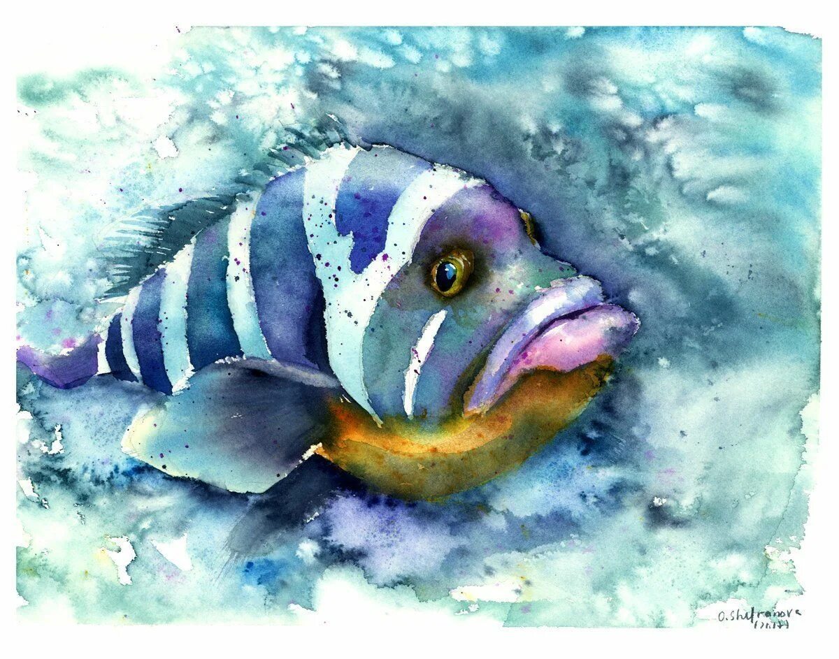 Акварельные рыбы. Красивые рыбы арт. Рыбки акварелью. Вуалехвост акварель. Рыбы акварелью.