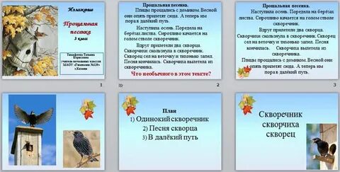 Изложение скворцы 3