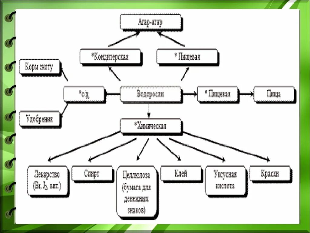 Схема использования водорослей. Схема использования водорослей человеком. Значение и использование водорослей схема. Роль водорослей в экосистемах.