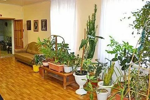 Санатории аксаковские зори подмосковья отзывы