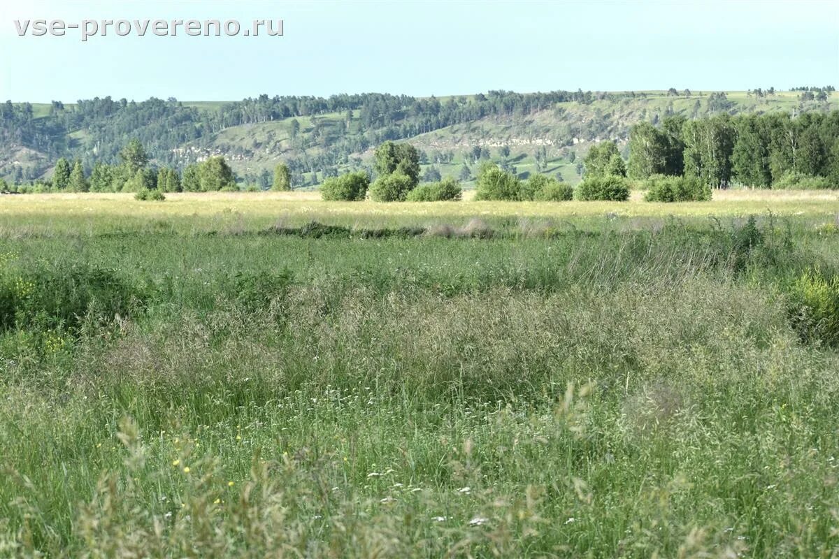 Деревня зуй. Деревня зуи.