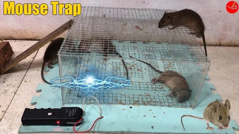 Из мышеловки смысл песни. Крысоловка электрическая Electric rat Trap. Ловушки для мышей Рэт. ЛОВУШКА для мыши 220 вольт. Электроловушка для крыс из электрошокера.