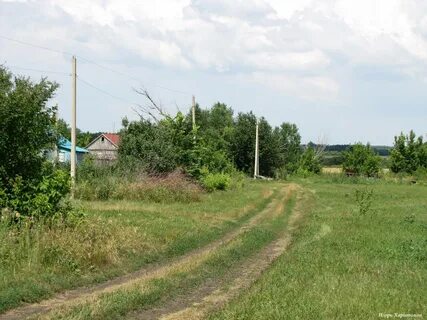 Погода дегтярка алтайского края