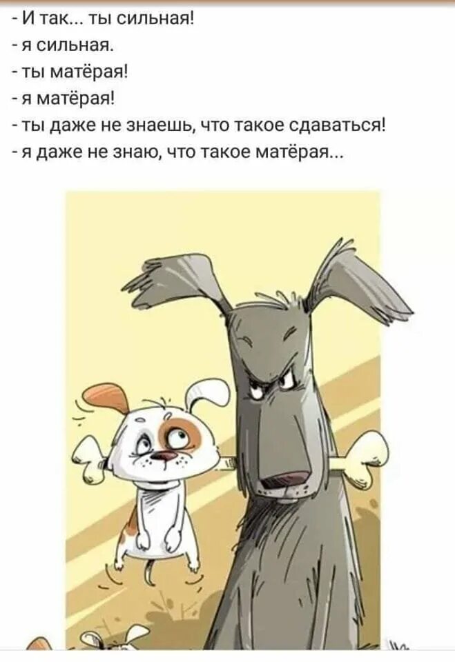 Матерая значение. Кот боится мышей. Ты сильный я сильный ты матерый я матерый ты даже не знаешь. Матерая значение. Ты сильный ты матерый я даже не знаю.