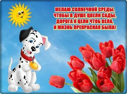 Доброе утро среда прикольные картинки с надписями