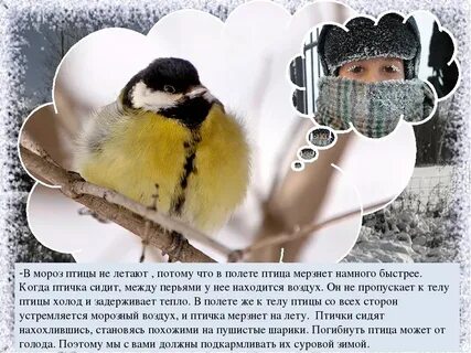Птицами тепло текст