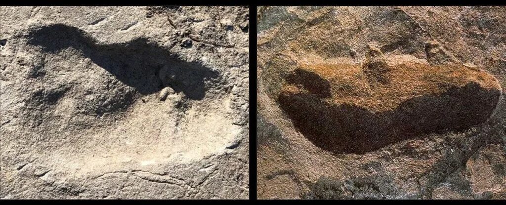 Следы древней жизни. Следы неизвестной цивилизации в Африке. Неизвестные следы. Обнаружен самый древний след человека. Отпечатки древнейших людей на вулканическом пепле.
