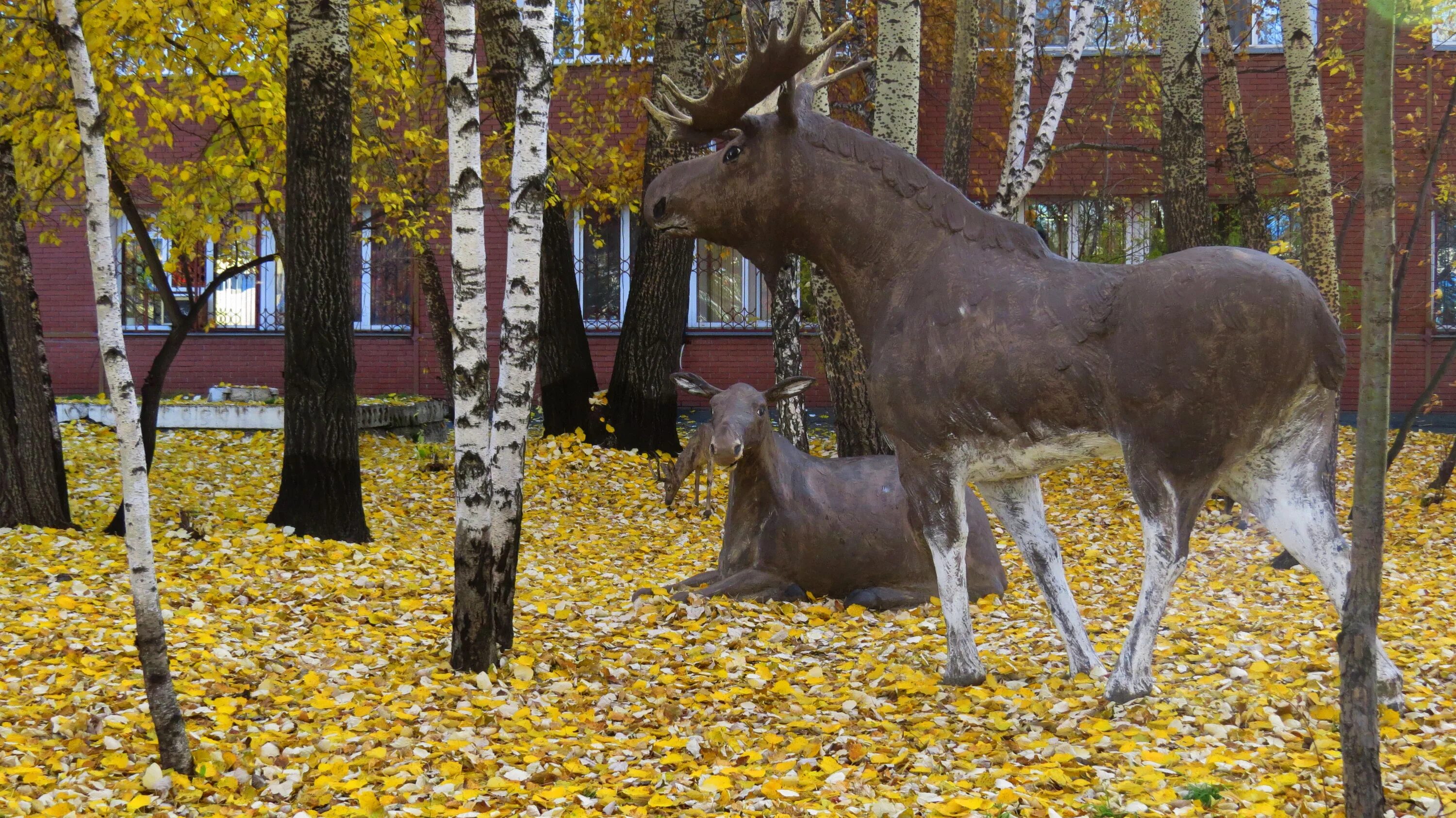 Лось люблинская. Памятник лосю в Тюмени. Лоси в Тюмени. Карликовый Лось.