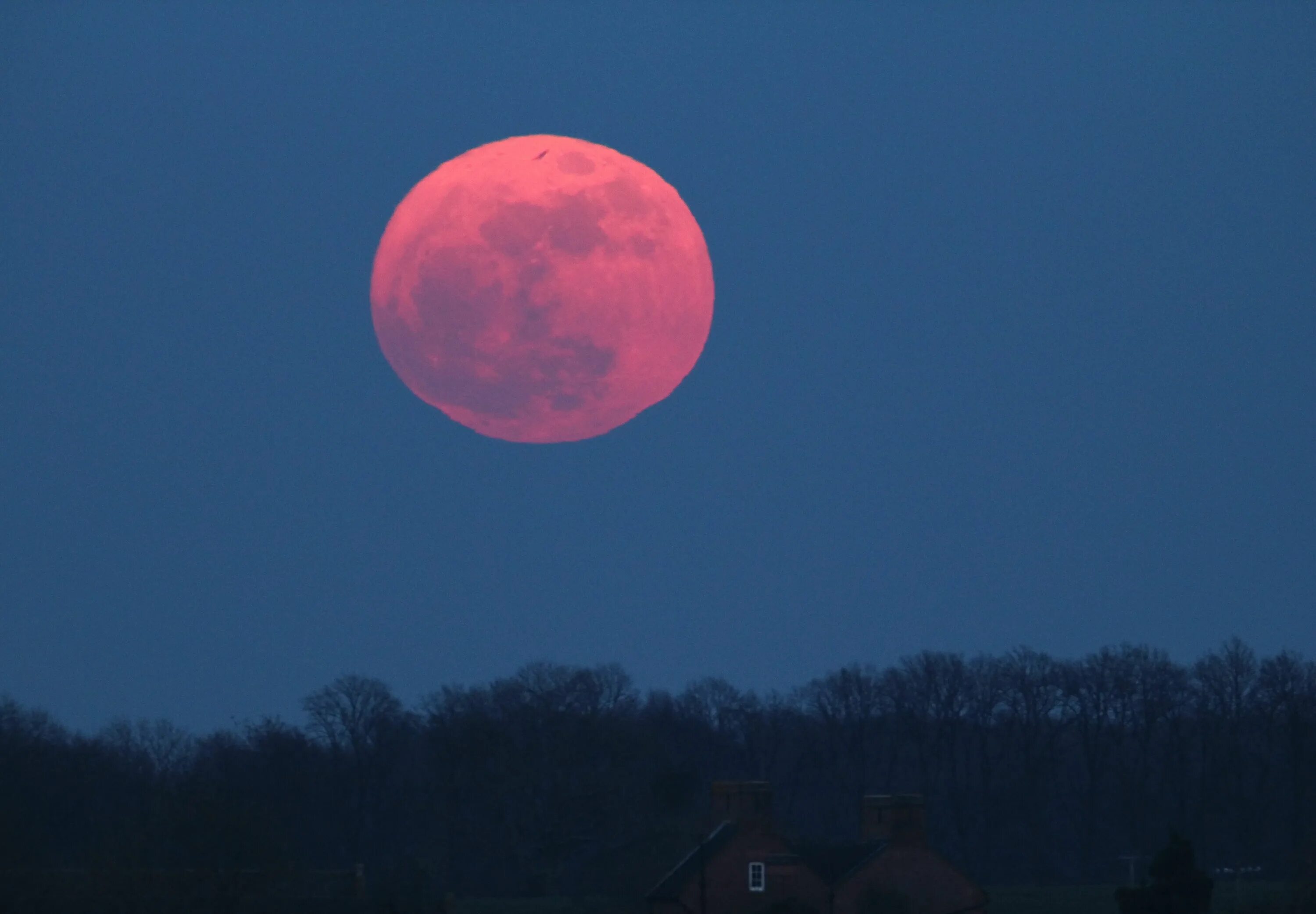 Почему цветочной луны. Луна. Цветная Луна. Розовая Луна. Фото Луны.