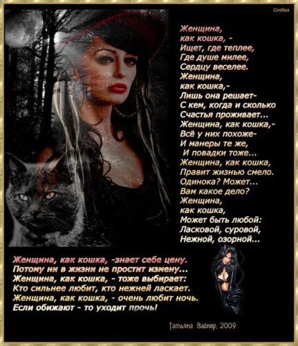 Стихи о кошке и человеке. В подвале среди барахла и картонок у серенькой кошки родился котёнок. Стихи про котят. Стих про кошку. Женщина кошка стихи.