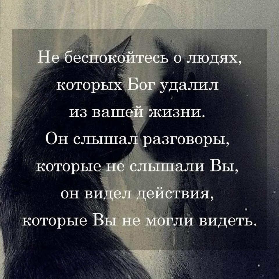 Не заботьтесь что сказать. Не беспокойтесь о людях которых Бог. Не беспокойтесь о людях которых Бог удалил из вашей. Бог убрал из твоей жизни. Закон кармы не беспокойтесь о людях которых Бог удалил из вашей жизни.