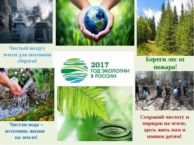 Мы в песнях для потомства сбережем названия. Мы в песнях для потомства сбережем названия. Сохранение чистоты воздуха. Мы в песнях для потомства сбережем названия. Мы губим наш край плакат.