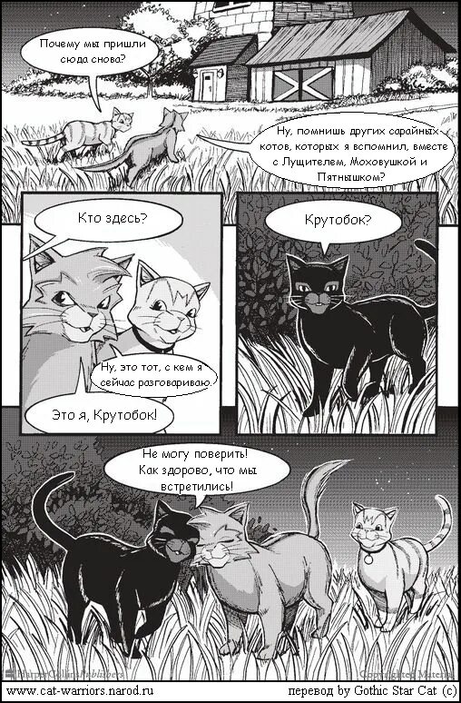 комиксы коты воители манга крутобок. прибежище воителя читать. коты воители манга крутобок. манга крутобок и бич. коты воители манга.