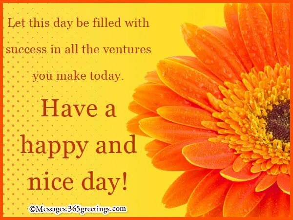 Today is wonderful day. Открытки wonderful day. i wish you a wonderful day. wish you success. открытка have a wonderful day.