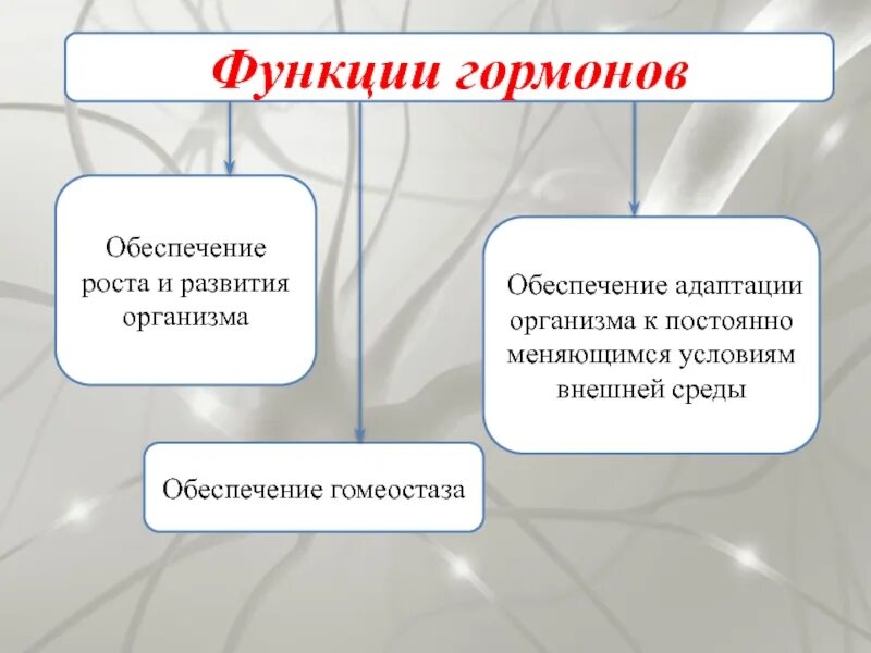 Функции гормонов. Основные функции гормонов. Функции гормонов кратко. Перечислите функции гормонов.