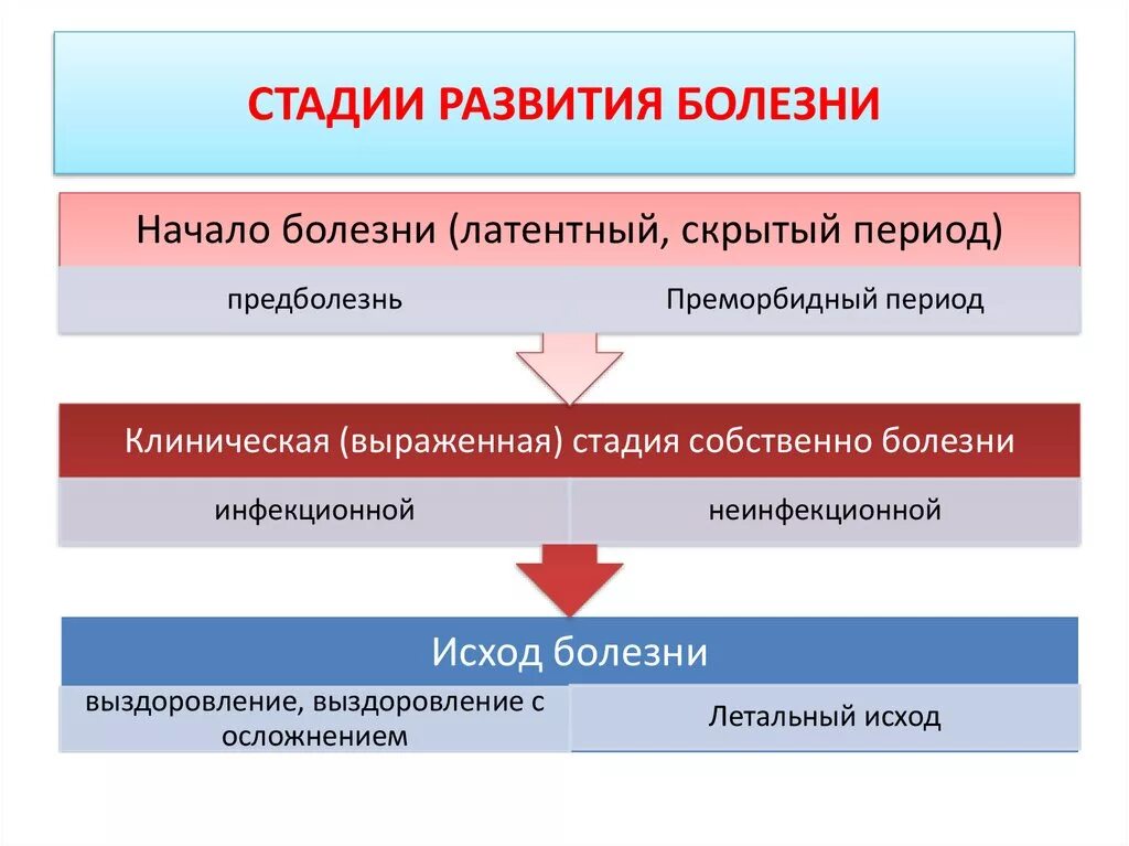 Тип развития заболевания. Этапы развития заболевания. Стадии развития болезни. Этапы формирования болезни. Каковы основные этапы развития болезни.