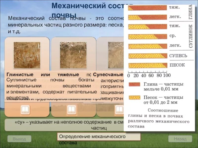 Соотношение глины. Механический состав почв - % соотношение песка и глины. механический состав песчаной почвы. механический состав почвы. почвы по механическому составу.