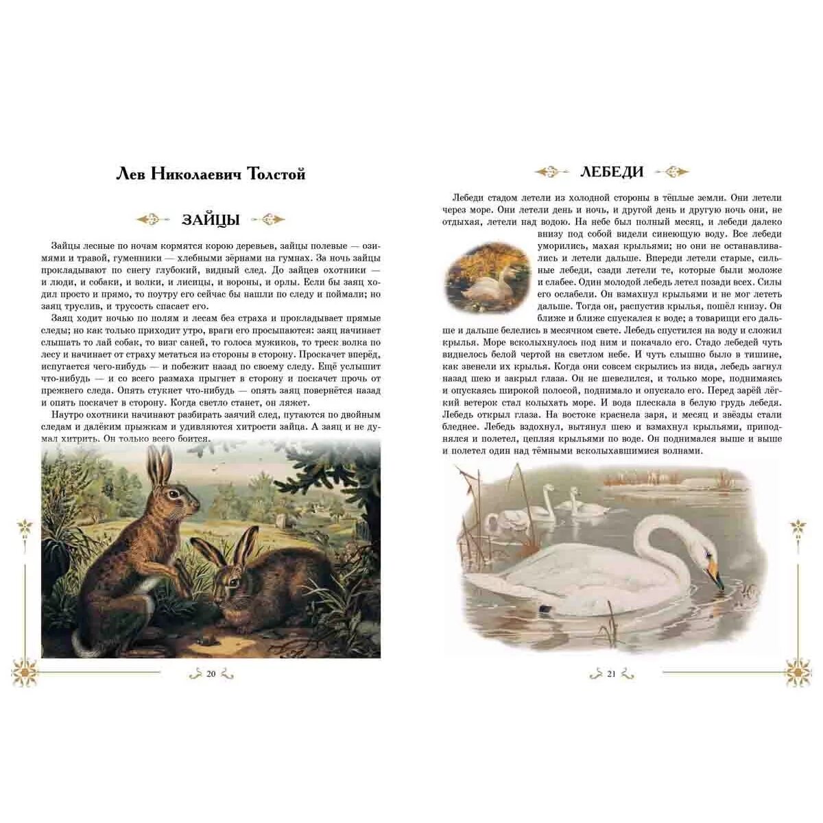 Лебеди толстой. Лев толстой рассказ про лебедя. Толстой про лебедя рассказ 3 класс. Произведение льва николаевича толстого лебеди. Рассказ льва николаевича толстого лебеди.