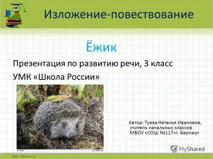 Ежа 2 класс
