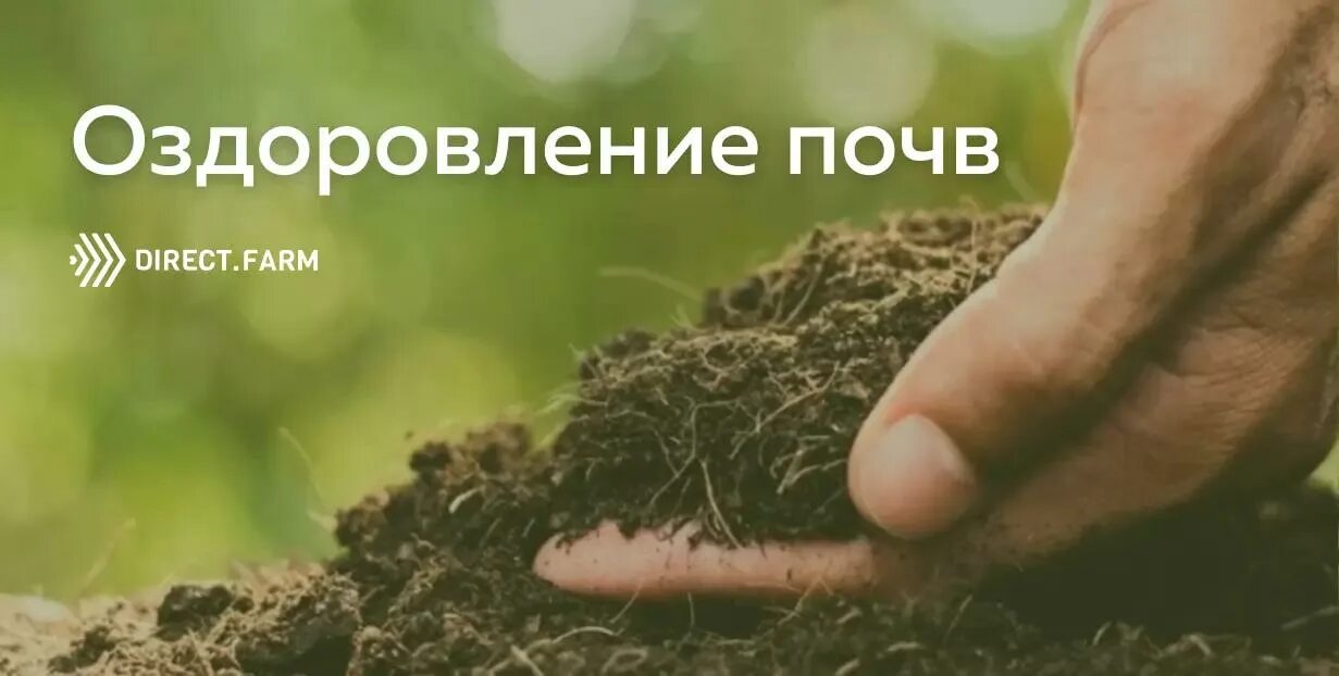 Сохранение и восстановления почв. Сохранение и восстановления почв
