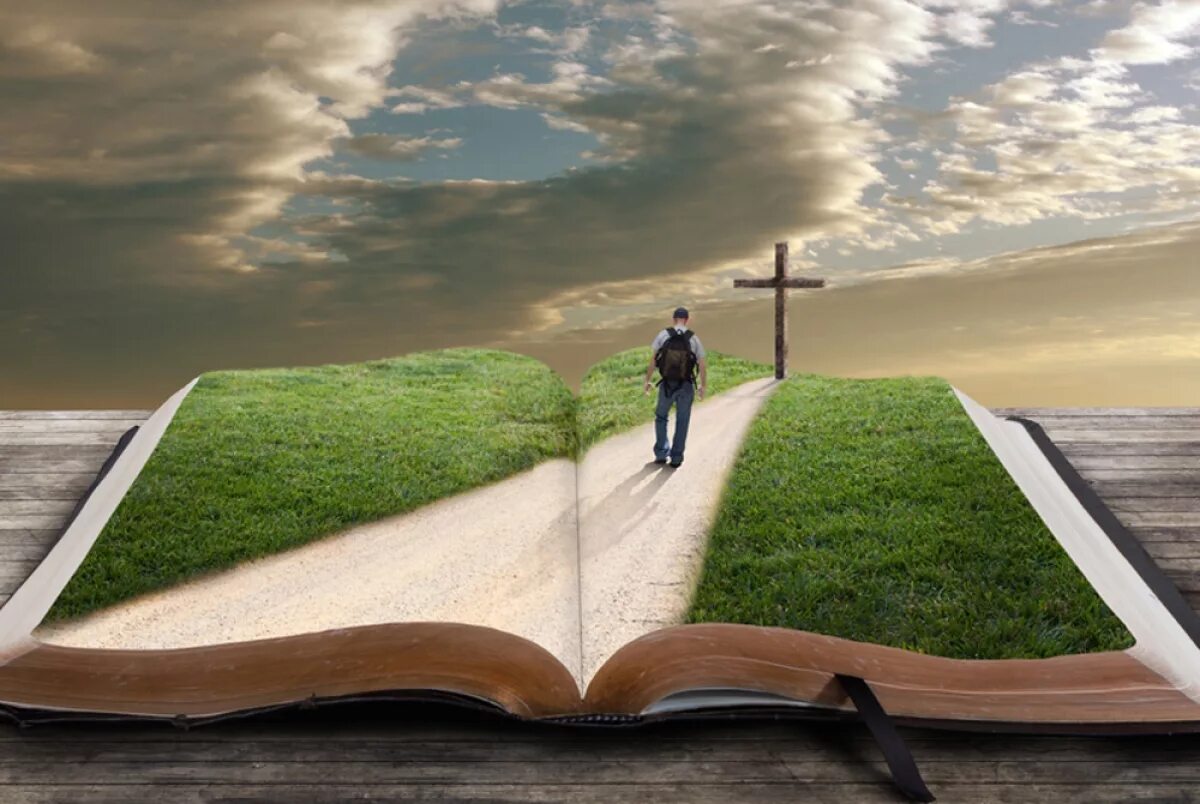 Путь к цели. Девушка идет по дороге. Путь к морю. Слово с миром идущая. Незнание закона не освобождает от ответственности.