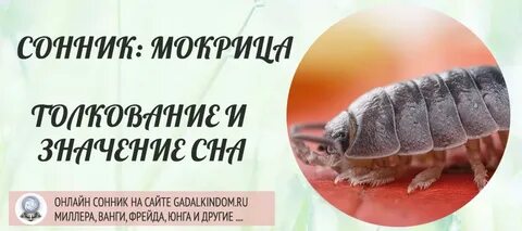 К чему снится защищать