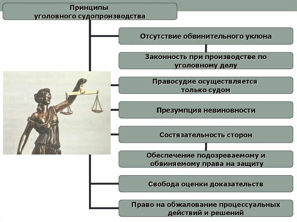 Соотношение принципов уголовного процесса схема. Принципы уголовного судопроизводства. Взаимосвязь и соотношение принципов уголовного процесса.. Перечислите принципы уголовного судопроизводства. Реализация принципов уголовного судопроизводства