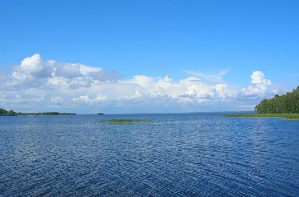 Водами онеги. Карелия вода. Чистая вода Карелия. Чистота воды в Карелии. Озеро водное Карелия.